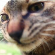 从零开始的FPS手把生活