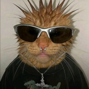 Tazz avatar