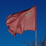 Ж(и)молость