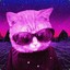 Neoncat