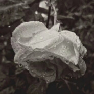 在死掉前姑且继续起舞