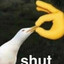 subblynks