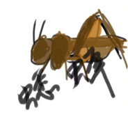 蟋蟋蟋蟋蟋蟀