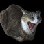 JordanFireStar