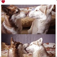 ЧЕЛОВЕК ЧЕЛОВЕК ЧЕЛОВЕК