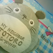 一条红烧清蒸鱼