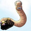 viltrumite booty worm