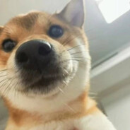 哥们 有框你不打？