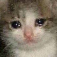 吉祥物诗怀雅祝祖国早日统一