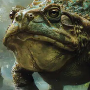 TOAD avatar