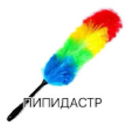 ‘пипидастр’