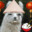 Lama China's avatar