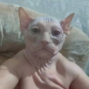 Rust - steam id 76561199752002574