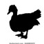 Sombra do pato