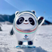 我只想要一個冰墩墩