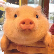 💛⚡✨📀⭐🧀🍪