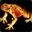 FireToad