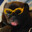 Behatted Dog