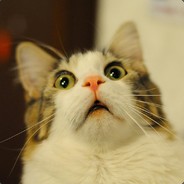 eggaestaa avatar
