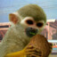 Markoko