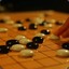 莱斯特天胡仔
