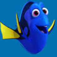 where is dory?