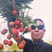 AAA荔枝批发凯哥