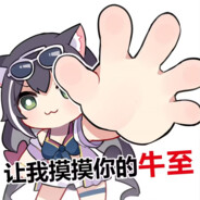 爱马枪的电子羊 avatar