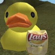 ducki