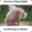 Baby Rabbit