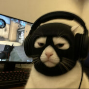 kotyaraaaaa