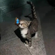 ❤ - steam id 76561199478437484