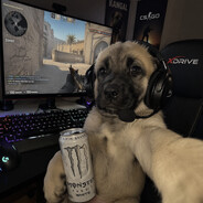 ErdenY avatar