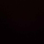 一天不倒积阳德两天不倒积极阳阳的