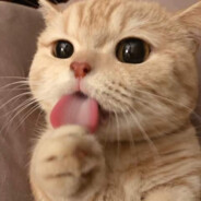 Bạn Kiệt giấu tên