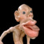 Homunculus