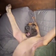 ENXK