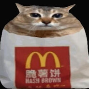 ゼロドラゴン1337