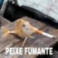 peixe fumante