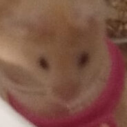 Forleph