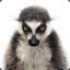 TheNotSoMightyLemur