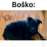 Opaka i zla