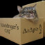 Shroedinger&#039;s cat