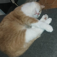 UGABUKAⱭ͞ ̶͞ ̶͞ ﻝ⛟