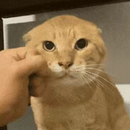 泽涛是景舟爸爸666_2024