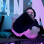 P4NN