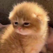 月亮是我磨弯滴