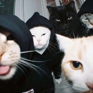 водитель по губам