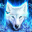King White Wolf