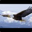 Eagle_Echo_1